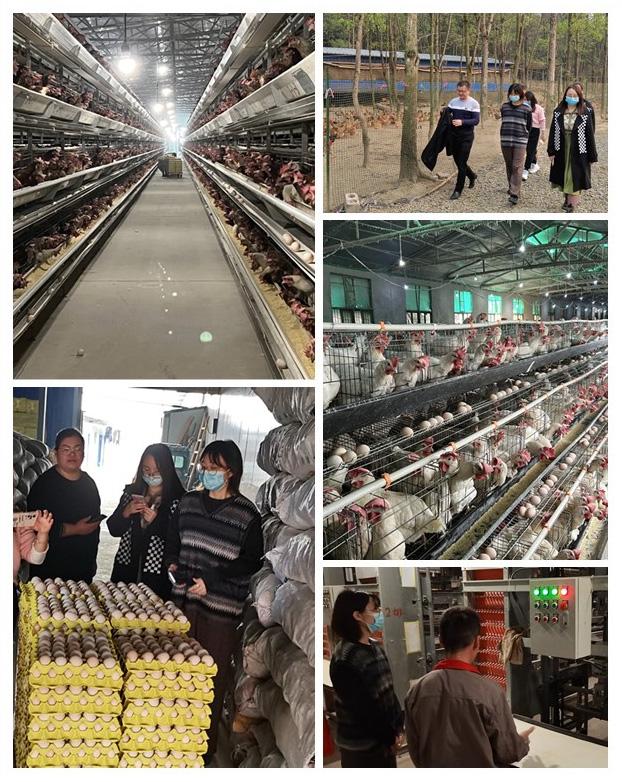 bti体育平台·(中国)官方网站