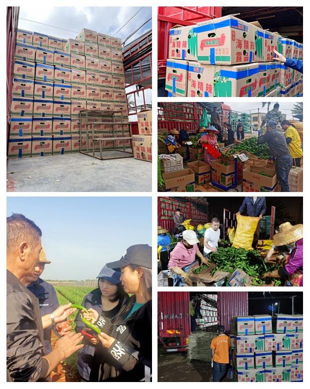 bti体育平台·(中国)官方网站