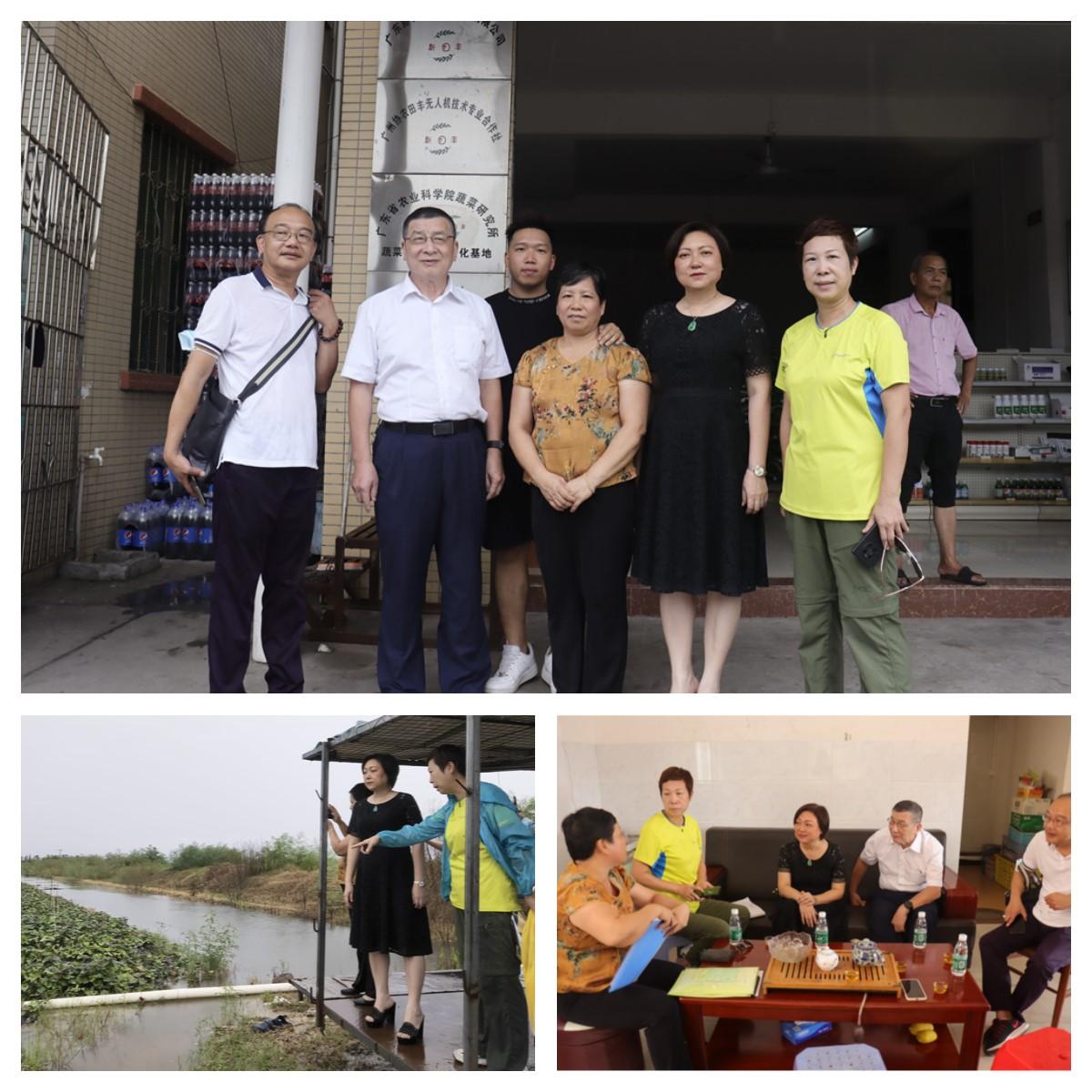 bti体育平台·(中国)官方网站