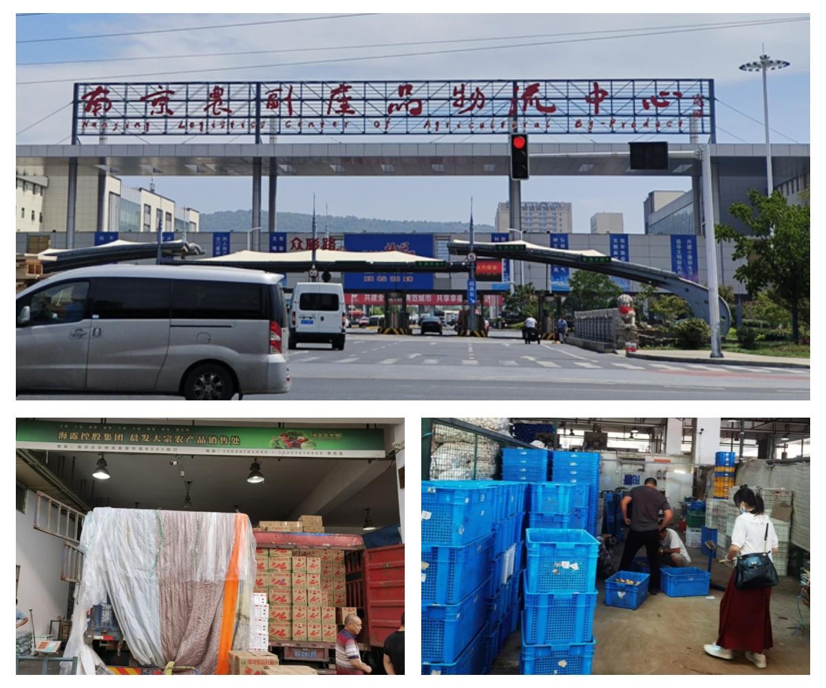 bti体育平台·(中国)官方网站