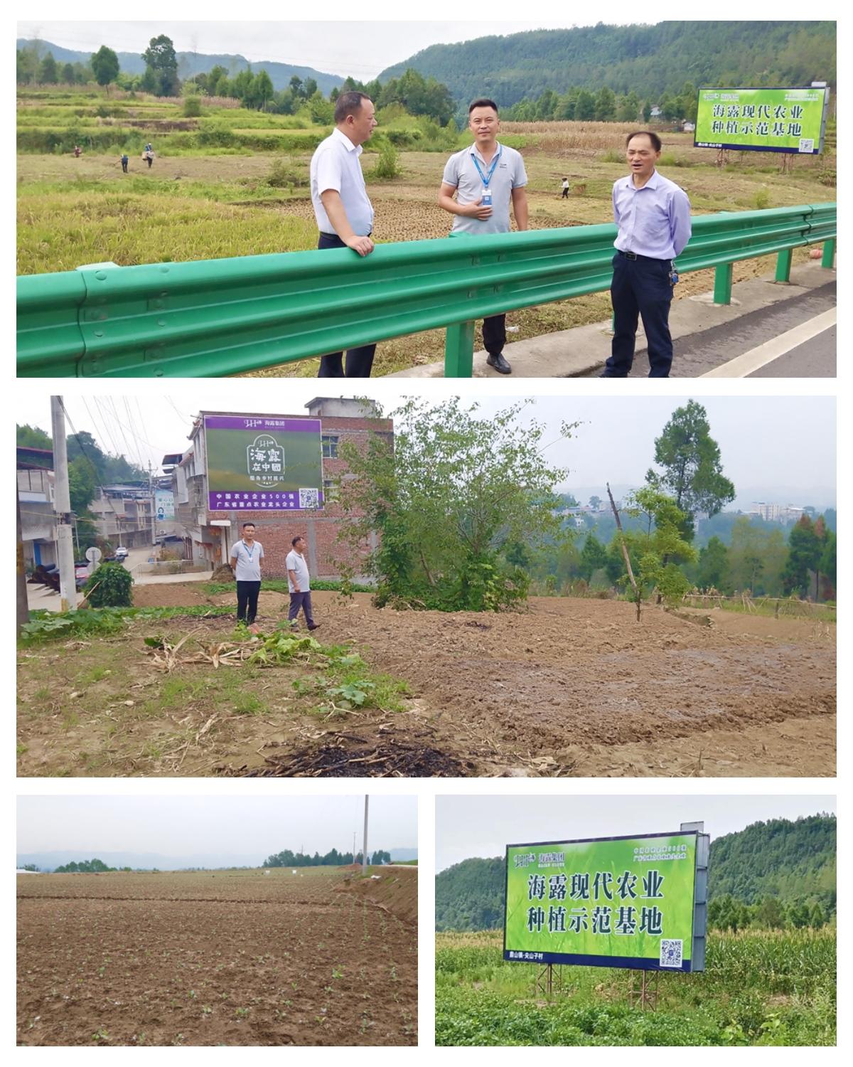 bti体育平台·(中国)官方网站