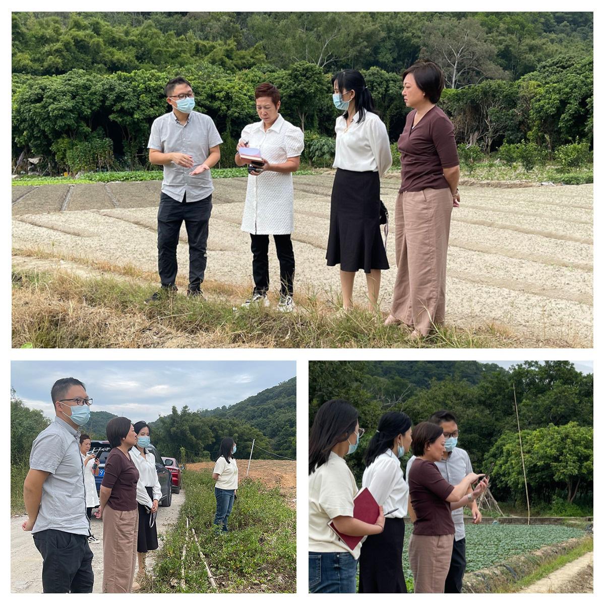 bti体育平台·(中国)官方网站