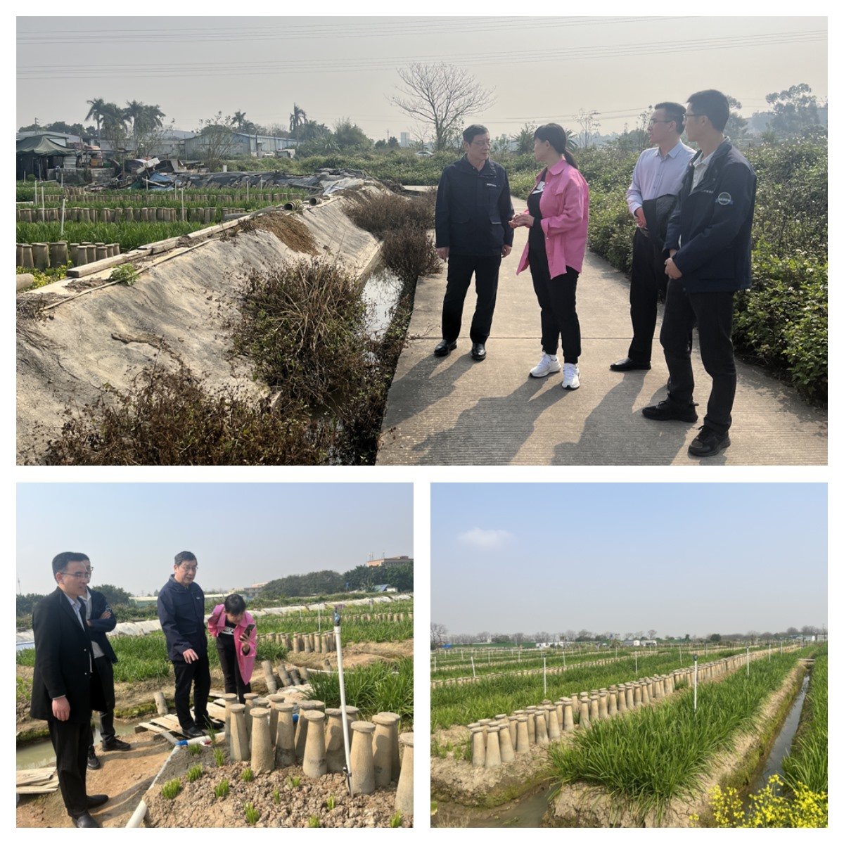 bti体育平台·(中国)官方网站