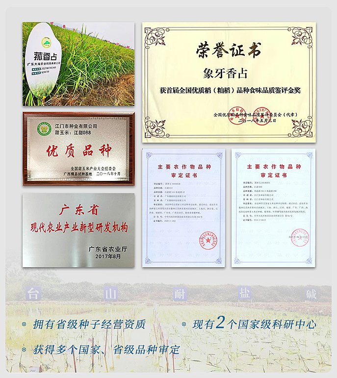 bti体育平台·(中国)官方网站