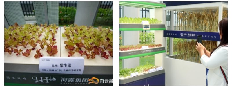 bti体育平台·(中国)官方网站