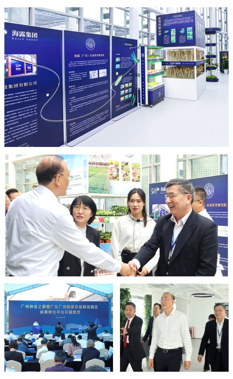 bti体育平台·(中国)官方网站