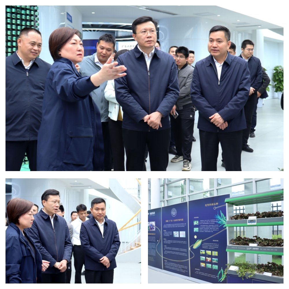 bti体育平台·(中国)官方网站