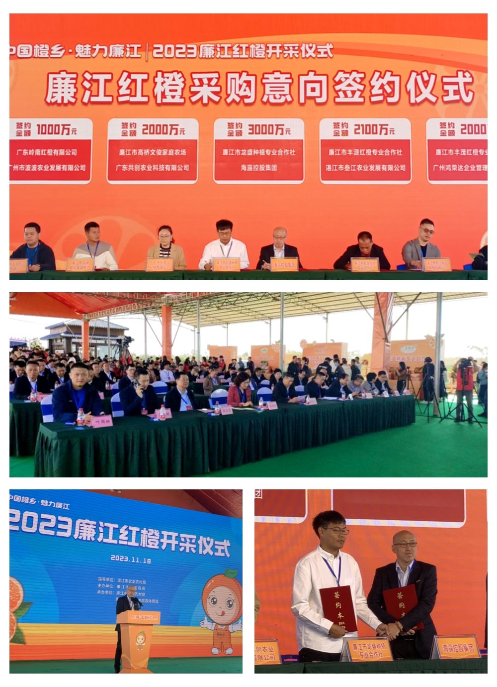 bti体育平台·(中国)官方网站