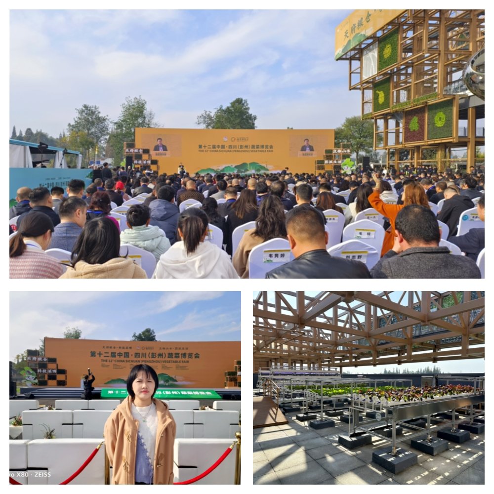 bti体育平台·(中国)官方网站