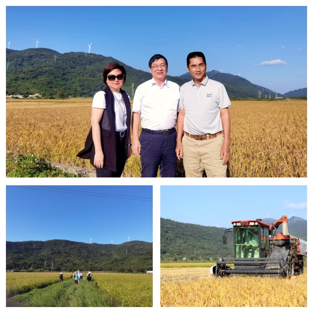 bti体育平台·(中国)官方网站