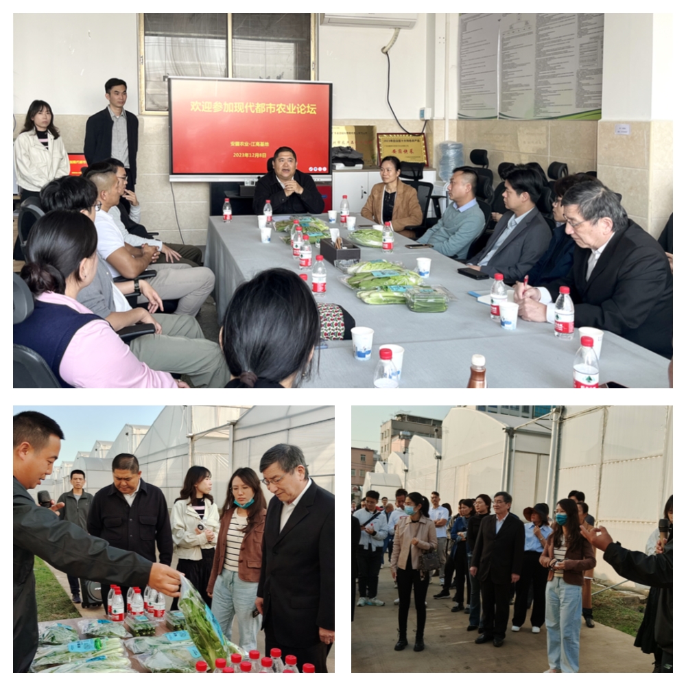 bti体育平台·(中国)官方网站