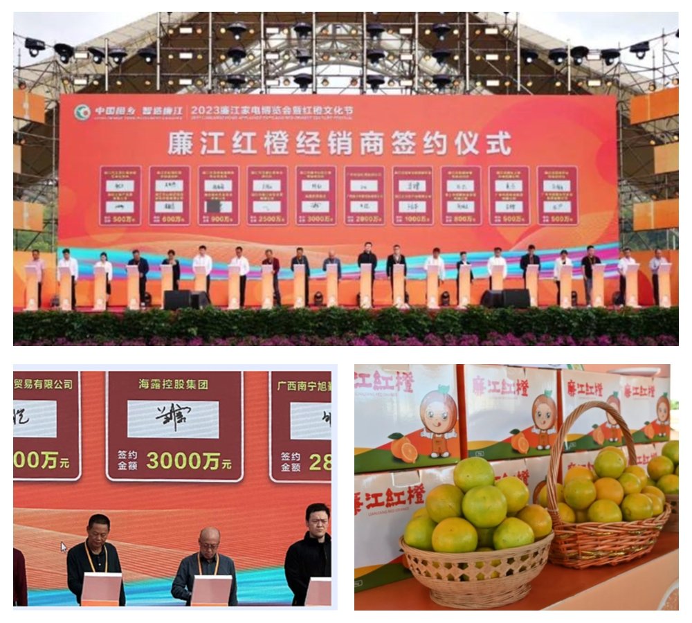 bti体育平台·(中国)官方网站