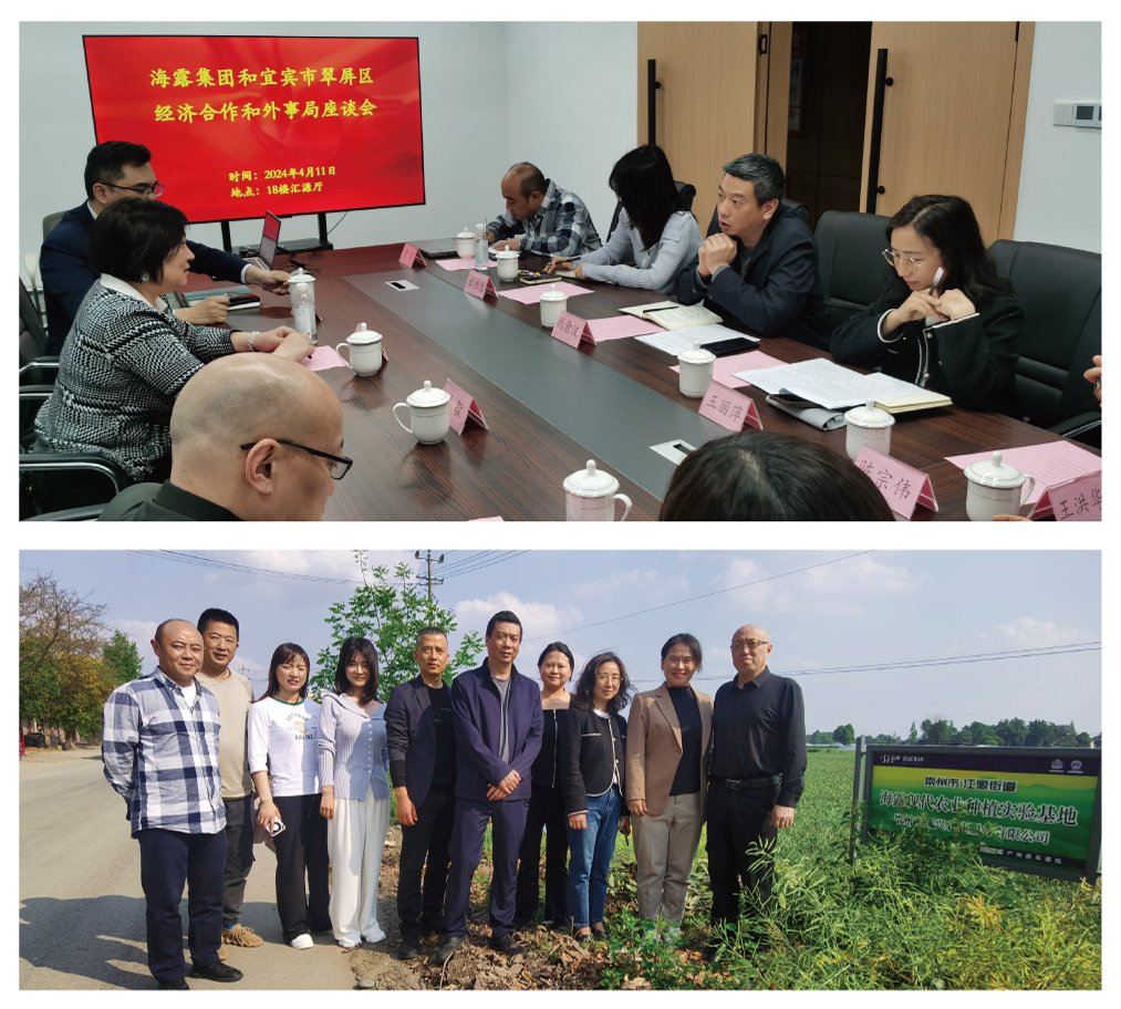 bti体育平台·(中国)官方网站