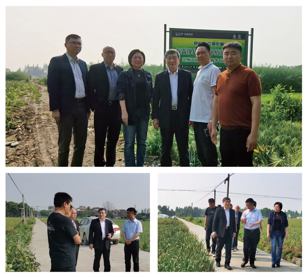 bti体育平台·(中国)官方网站