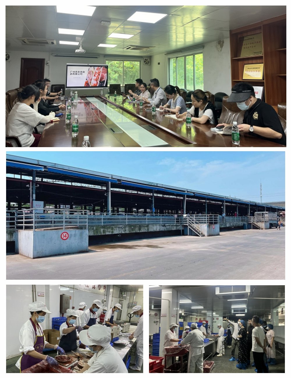 bti体育平台·(中国)官方网站