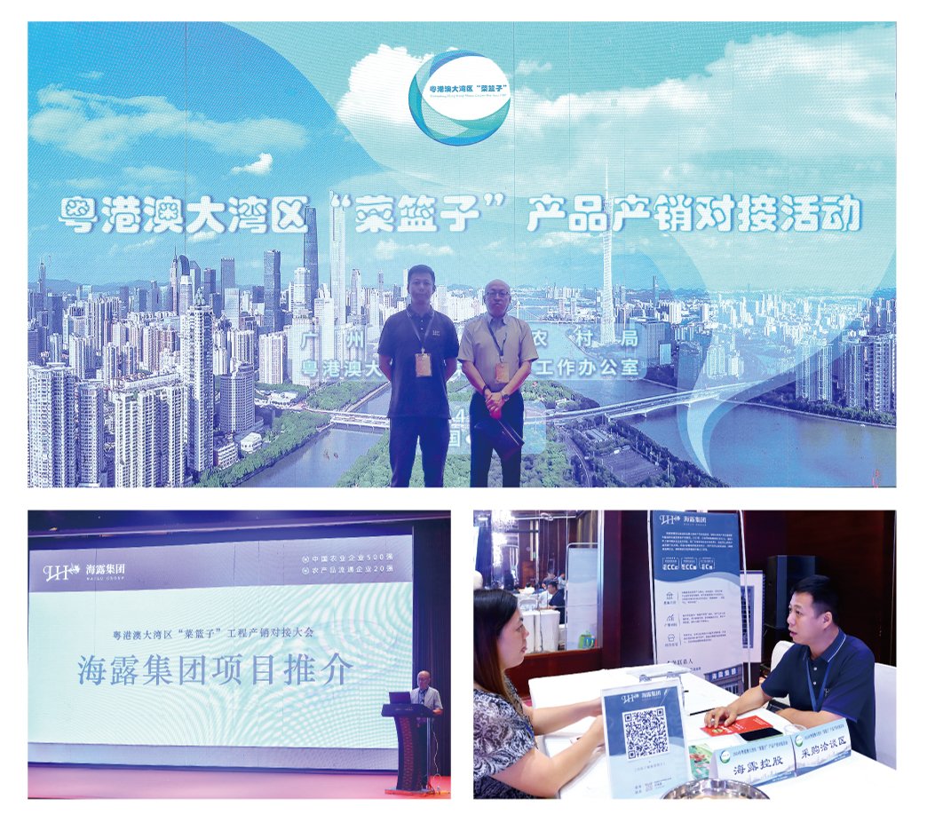 bti体育平台·(中国)官方网站