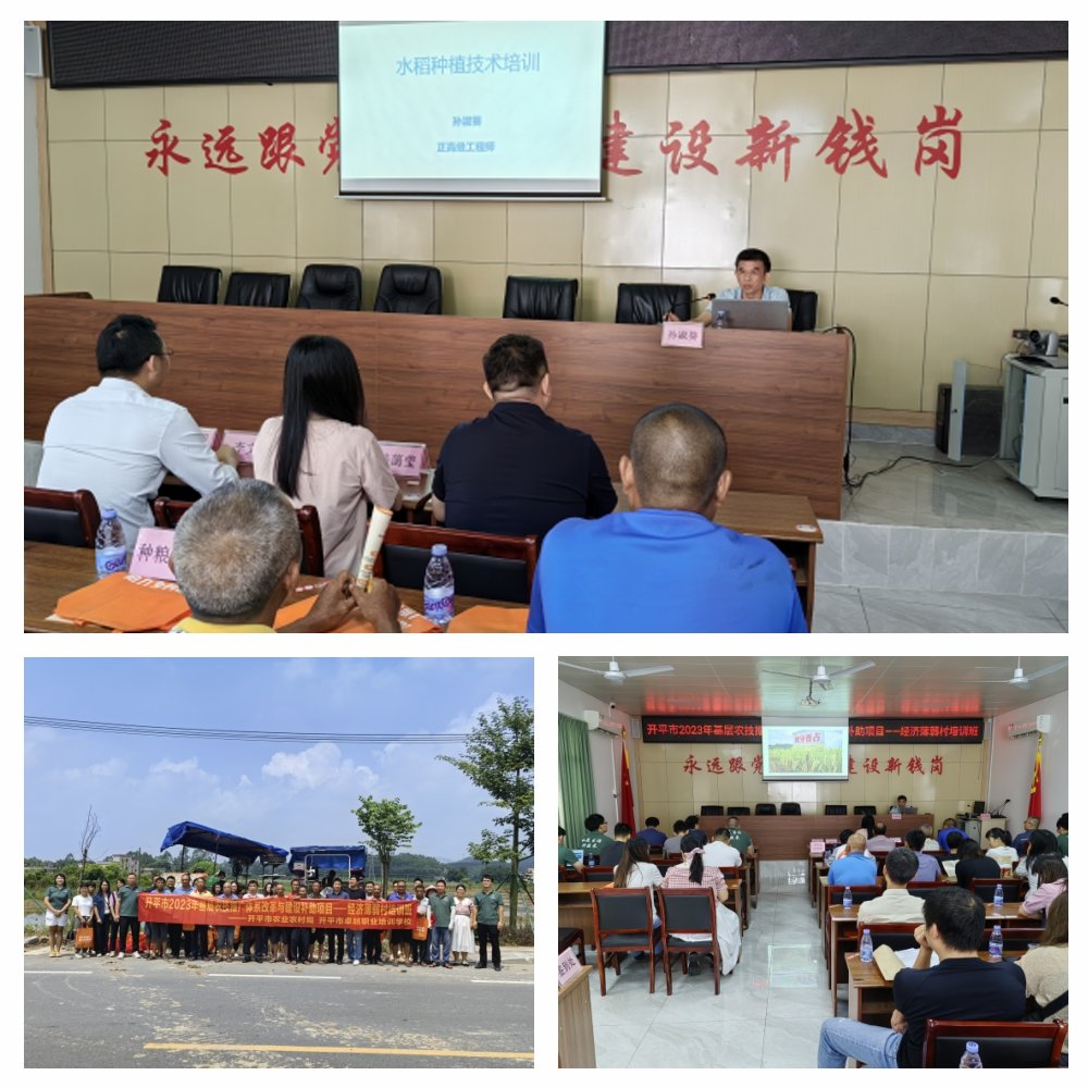 bti体育平台·(中国)官方网站