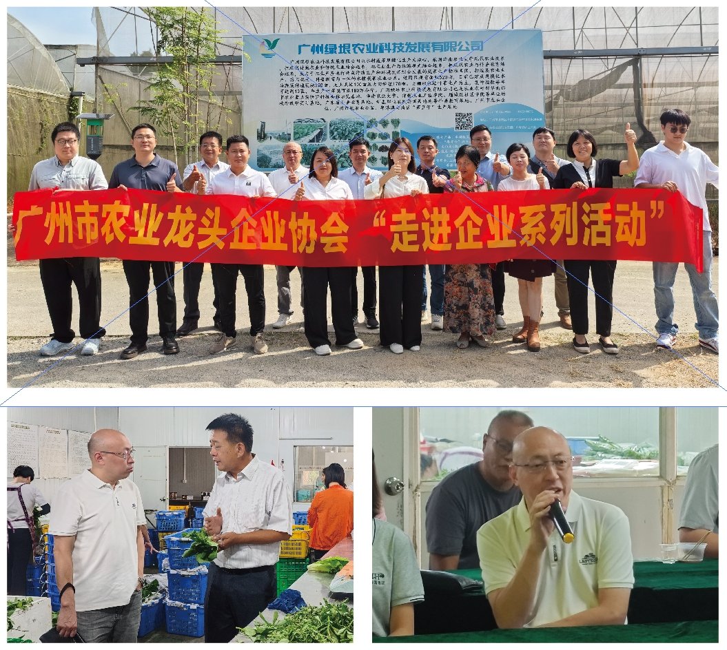 bti体育平台·(中国)官方网站