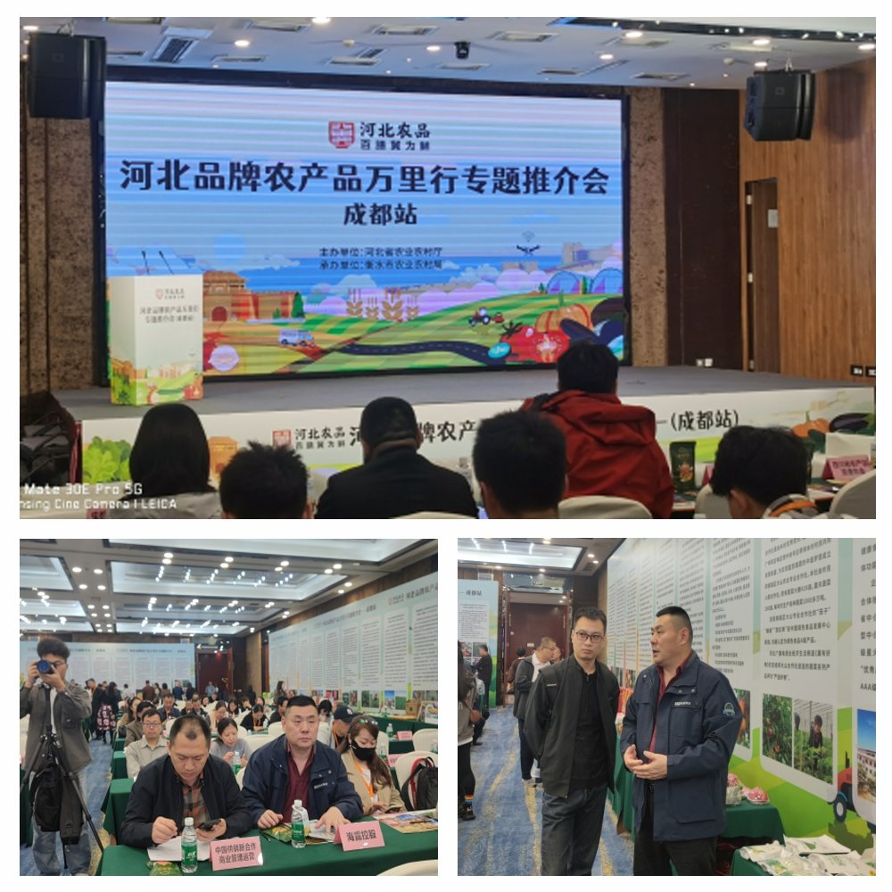 bti体育平台·(中国)官方网站