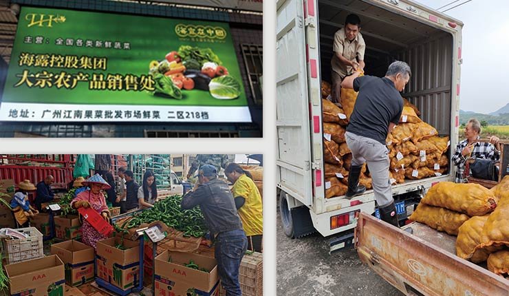 bti体育平台·(中国)官方网站