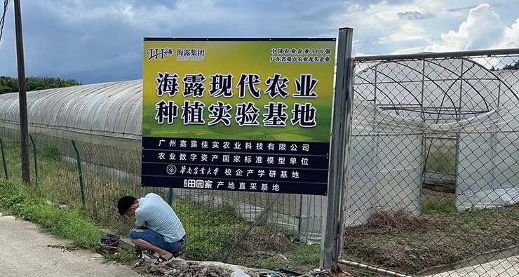 bti体育平台·(中国)官方网站