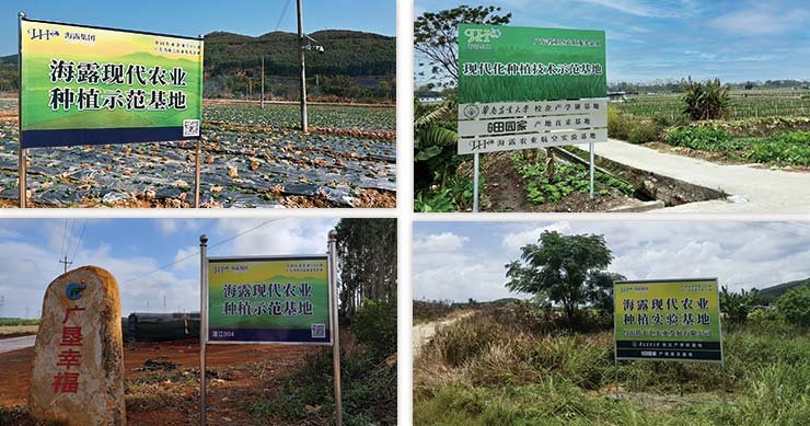 bti体育平台·(中国)官方网站