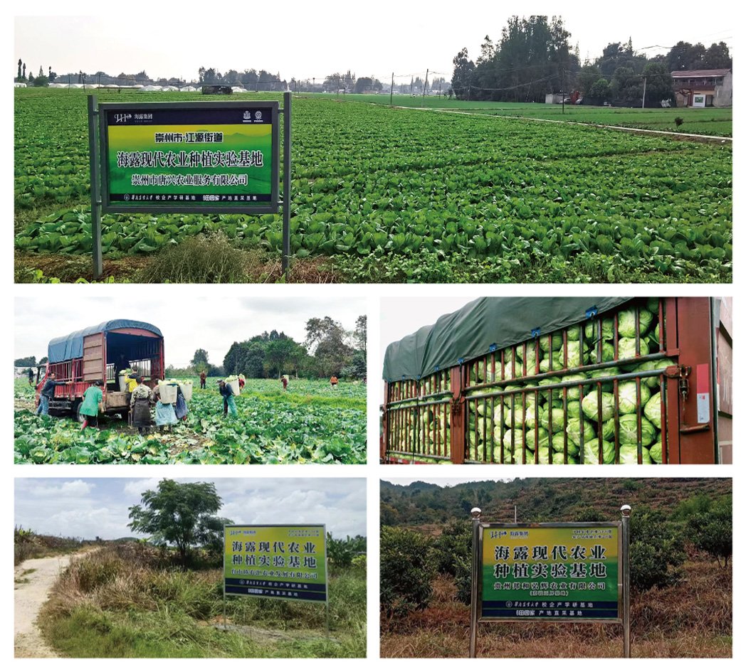 bti体育平台·(中国)官方网站