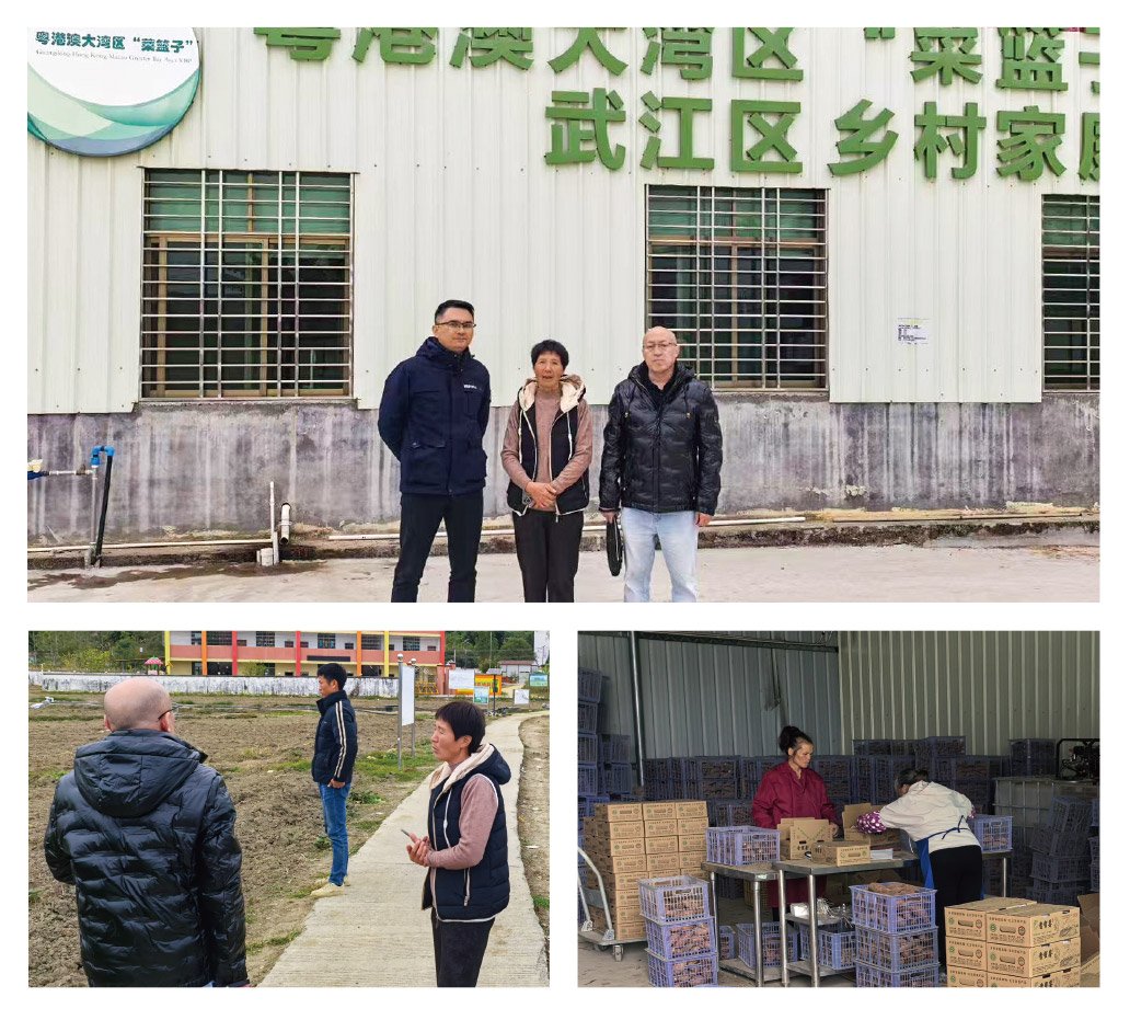 bti体育平台·(中国)官方网站