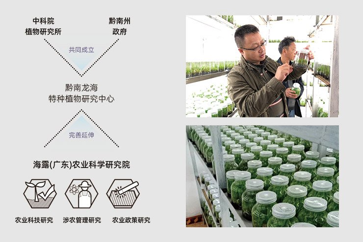 bti体育平台·(中国)官方网站