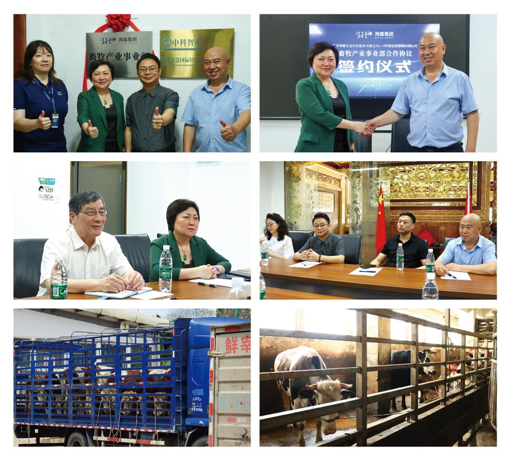 bti体育平台·(中国)官方网站