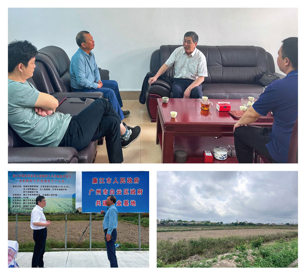 bti体育平台·(中国)官方网站