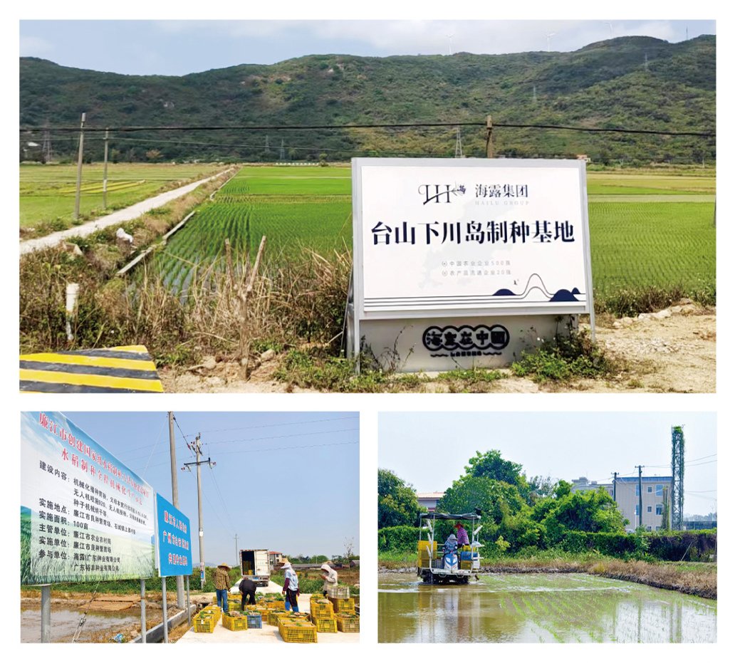 bti体育平台·(中国)官方网站