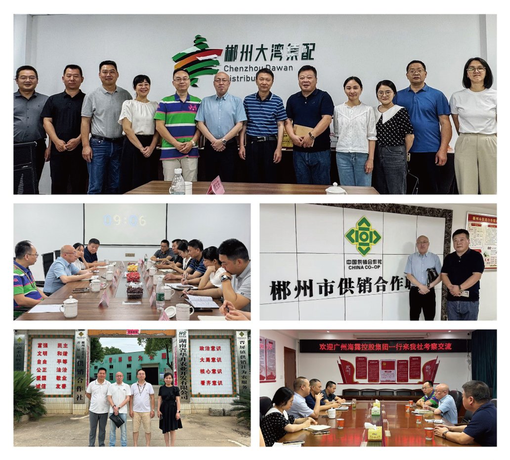 bti体育平台·(中国)官方网站