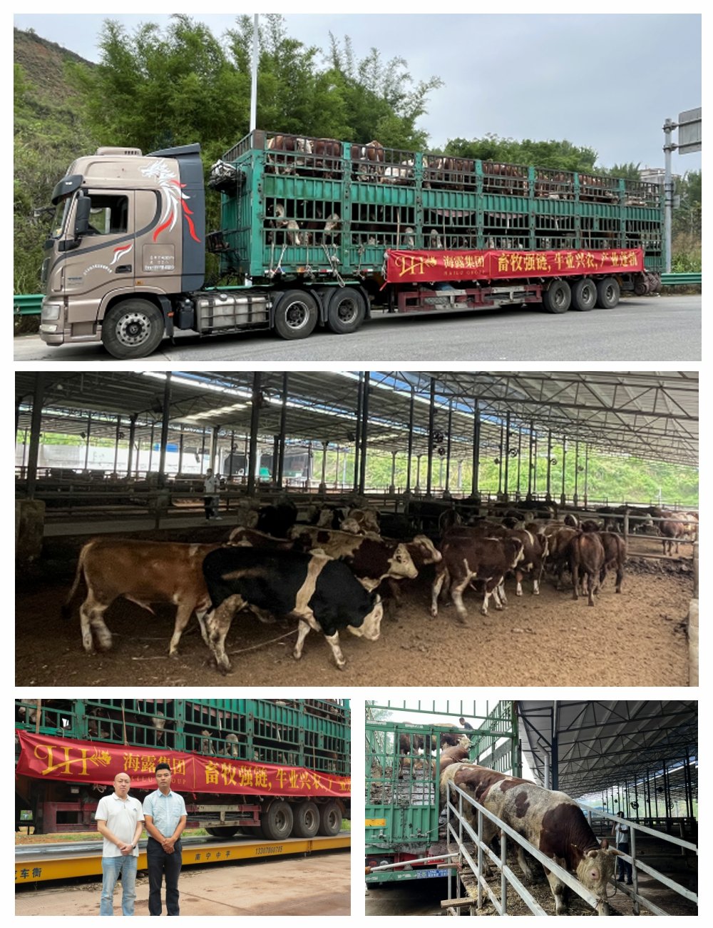 bti体育平台·(中国)官方网站