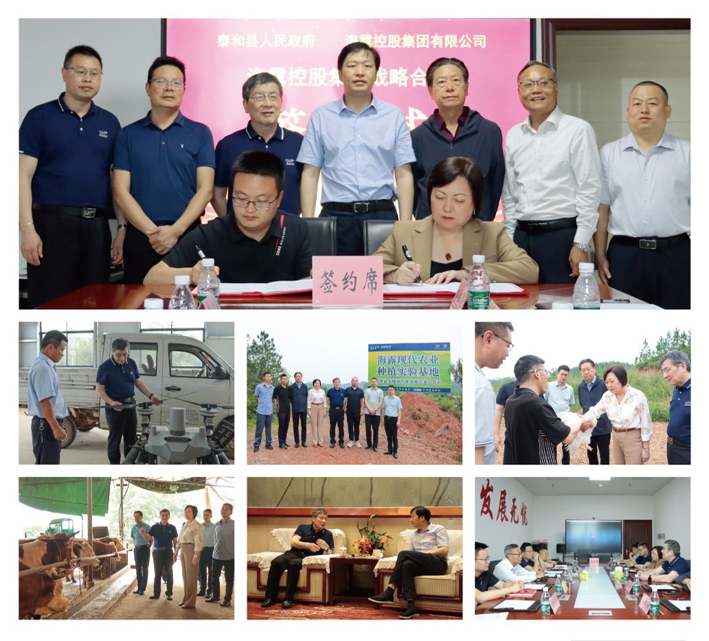 bti体育平台·(中国)官方网站