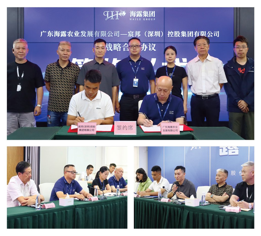 bti体育平台·(中国)官方网站