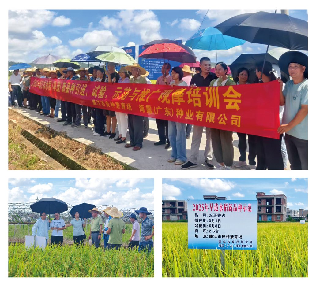 bti体育平台·(中国)官方网站