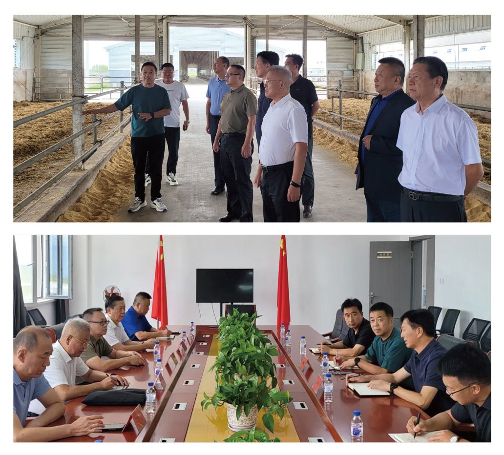 bti体育平台·(中国)官方网站