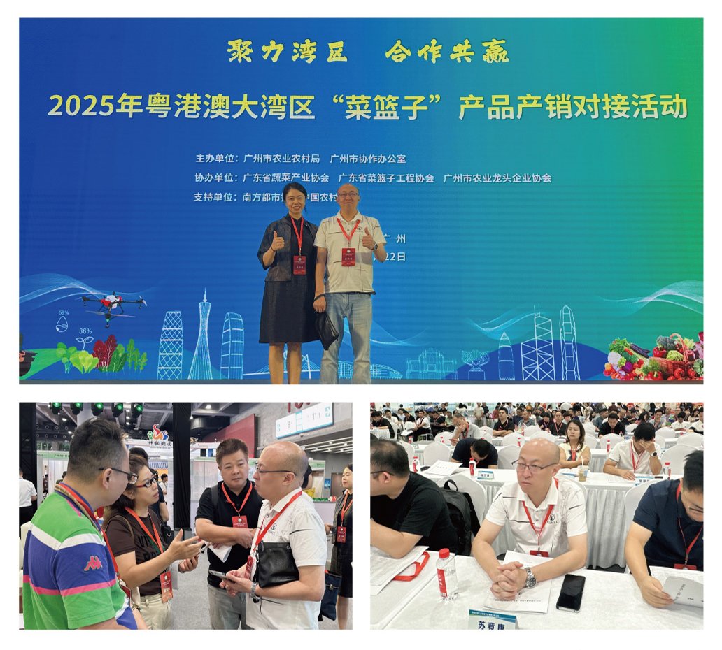 bti体育平台·(中国)官方网站