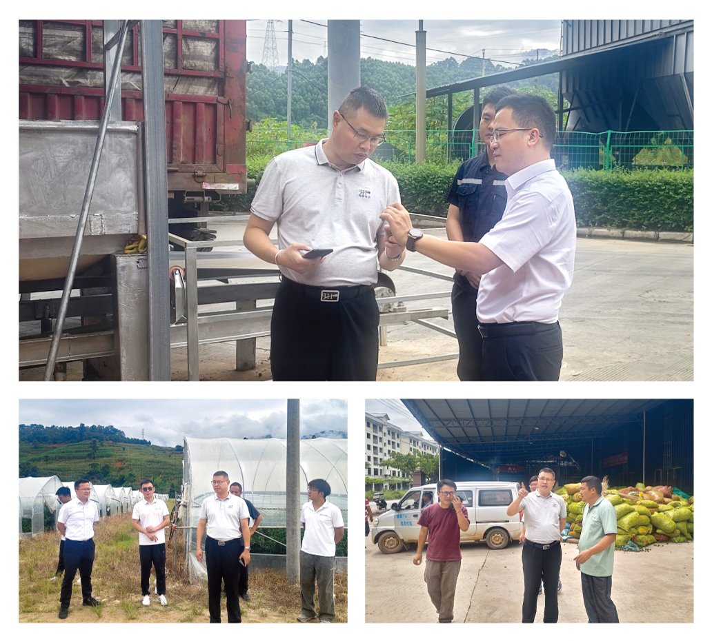 bti体育平台·(中国)官方网站