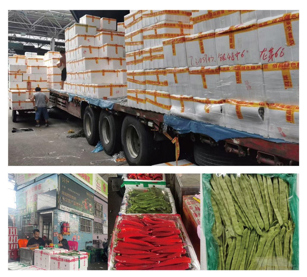 bti体育平台·(中国)官方网站