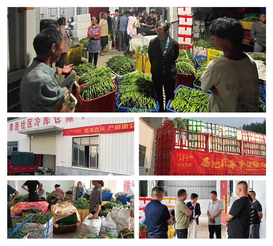 bti体育平台·(中国)官方网站