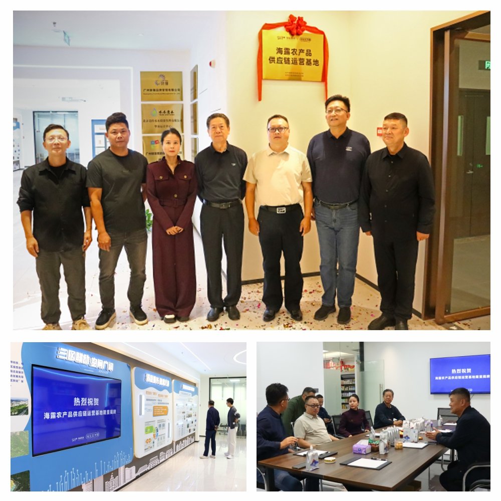 bti体育平台·(中国)官方网站