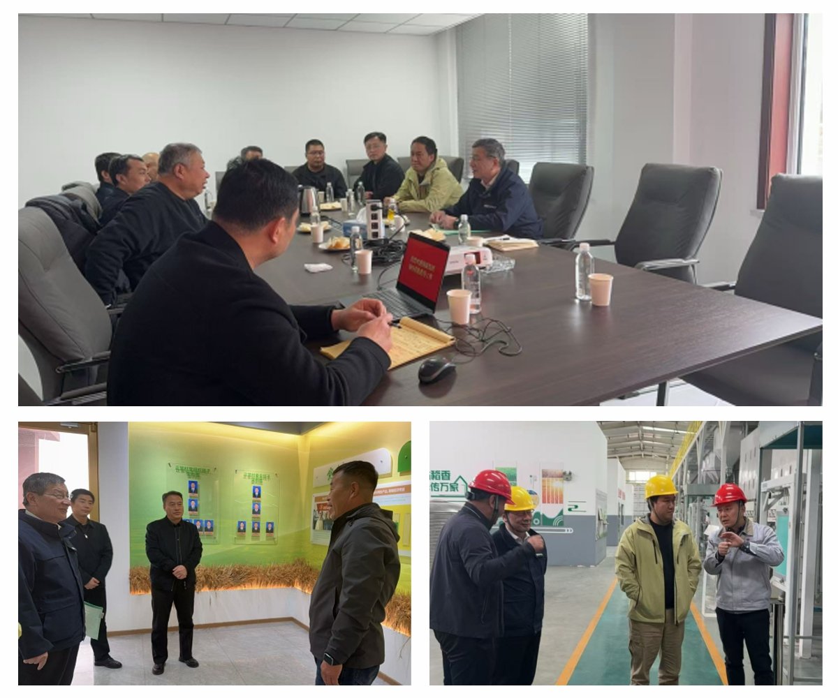 bti体育平台·(中国)官方网站