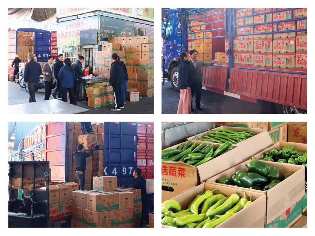 bti体育平台·(中国)官方网站